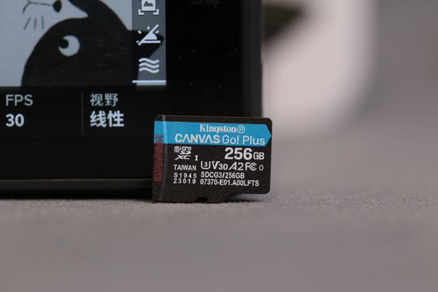 256GB Canvas microSD memory cards